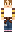 skin of a player