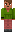 skin of a player
