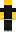 skin of a player
