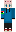 skin of a player