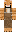 skin of a player