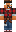skin of a player