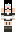 skin of a player