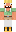 skin of a player