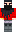 skin of a player