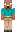 skin of a player