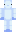 skin of a player