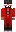 skin of a player