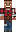 skin of a player