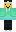 skin of a player