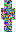 skin of a player