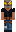 skin of a player