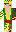 skin of a player