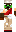 skin of a player