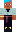 skin of a player