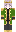 skin of a player