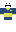 skin of a player