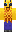 skin of a player