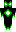 skin of a player