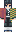skin of a player