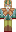 skin of a player