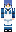 skin of a player