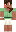 skin of a player