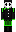 skin of a player
