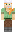 skin of a player