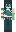 skin of a player