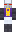 skin of a player