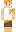 skin of a player