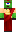 skin of a player