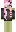 skin of a player