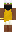 skin of a player