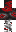 skin of a player