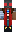 skin of a player