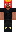 skin of a player