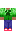 skin of a player