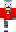 skin of a player