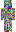 skin of a player
