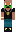 skin of a player