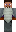 skin of a player
