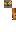 skin of a player