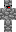 skin of a player