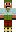skin of a player