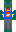 skin of a player