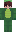 skin of a player