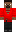 skin of a player