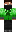 skin of a player